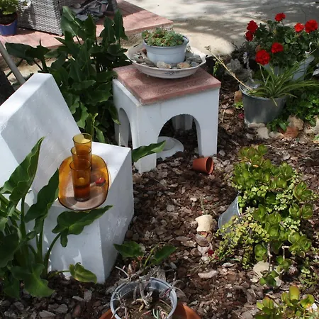 Bed & Breakfast Almocaizar
