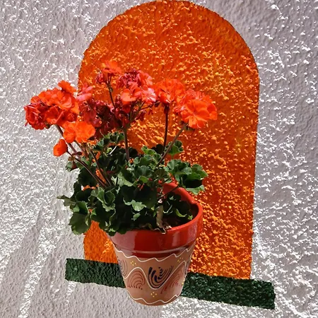 Almocaizar Bed & Breakfast